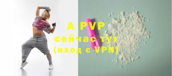 ECSTASY Белокуриха